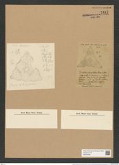 Triceratium crenulatum Grove et Sturt (de-Toni-Nr.: Genus 140, Species 3939) Zeichnungen Sammlung Grunow Nr. 7417 (NHMW-BOT-W0376499)